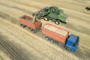 Эксперты предрекли РФ в новом сезоне 21% мировой торговли пшеницей | Новости | Капитал | 03.06.2022